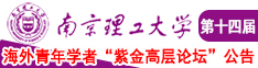 艹色逼南京理工大学第十四届海外青年学者紫金论坛诚邀海内外英才！